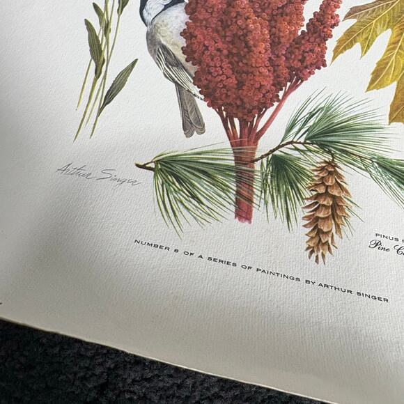 Arthur Singer Portfolio of Bird Prints Complete Set (8) - Vintage Botanical Art - Picture 11 of 16
